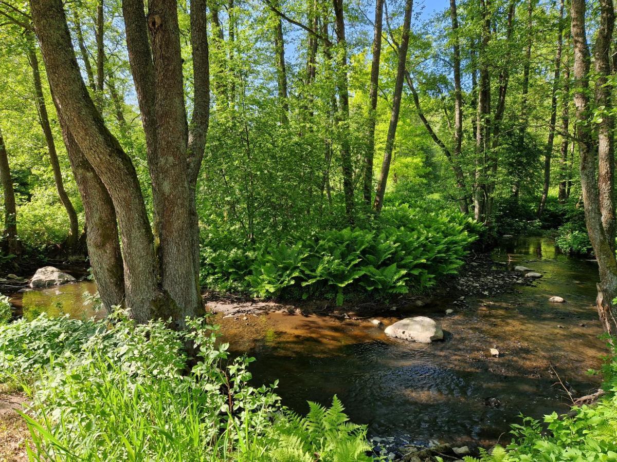 Elulille Maja Mere Laeheduses Lahemaa Ruepes Andineeme Extérieur photo