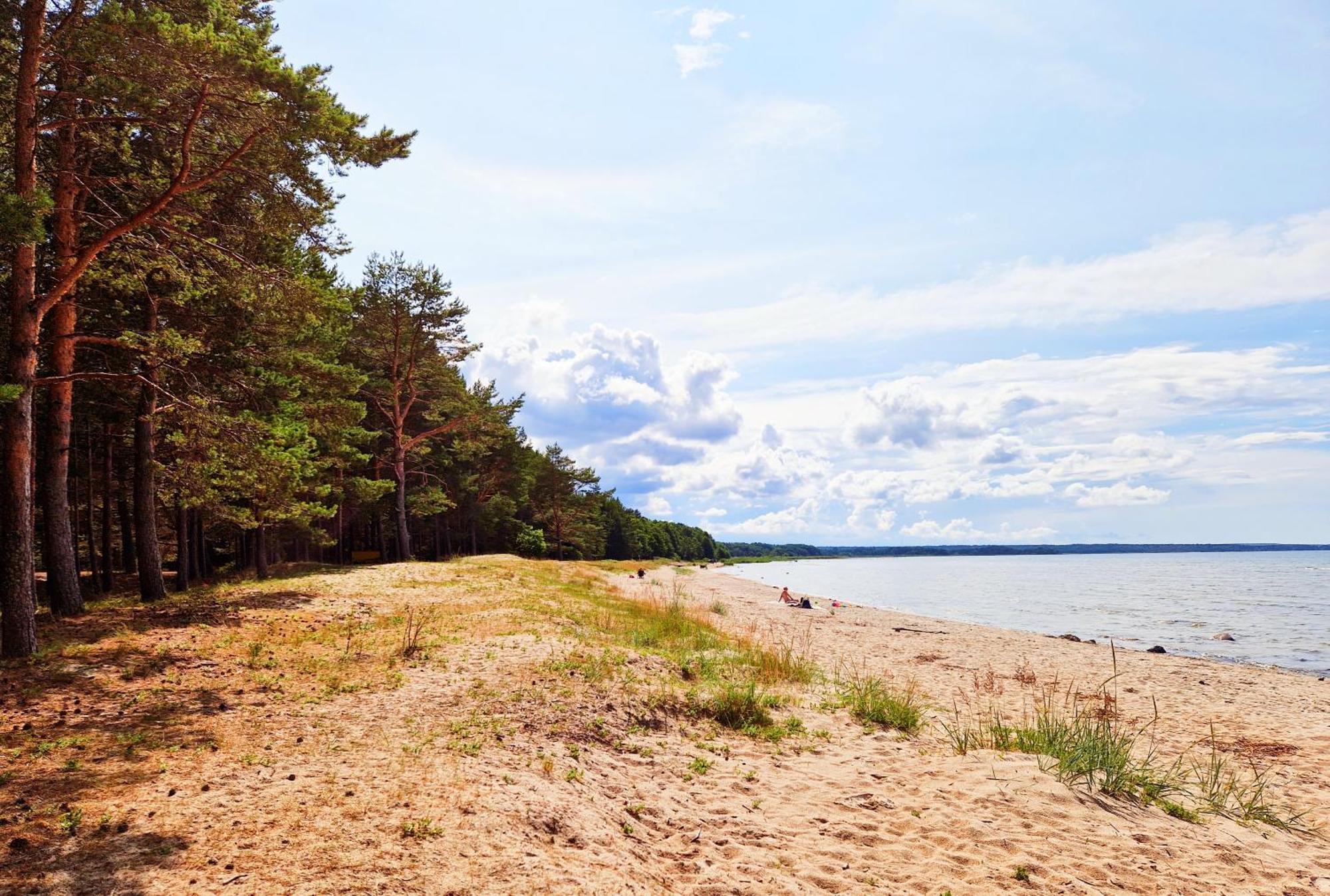 Elulille Maja Mere Laeheduses Lahemaa Ruepes Andineeme Extérieur photo